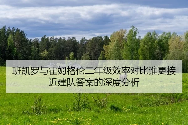班凯罗与霍姆格伦二年级效率对比谁更接近建队答案的深度分析