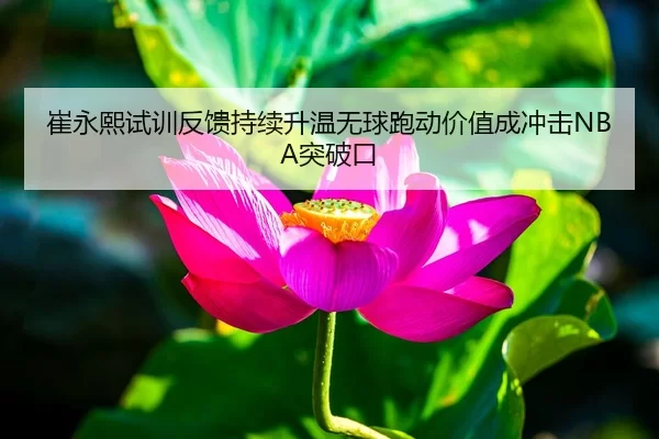 崔永熙试训反馈持续升温无球跑动价值成冲击NBA突破口