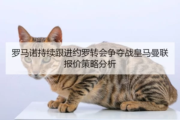 罗马诺持续跟进约罗转会争夺战皇马曼联报价策略分析